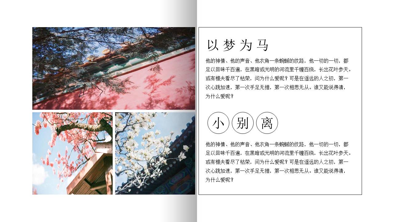中国风 (90).pptx